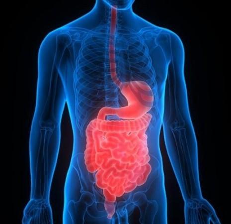 Gut-targeting medications may also lead to fewer cognitive, gastrointestinal, and behavioral side effects for patients and their children than current treatments. Income Tax Return portal handled more than 900 filings in a second and nearly 70 lakh ITRs (Income Tax Returns) in a day