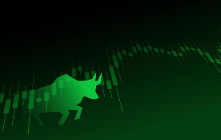 market bull