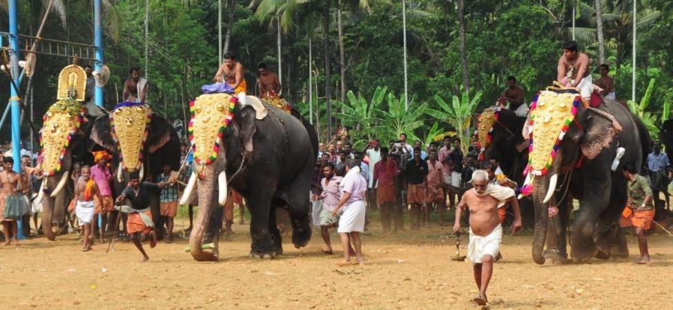 Kerala temple trusts moves SC challenging restrictions on elephant management in Thrissur Pooram