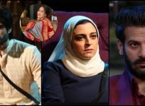 'Stop It Now, Why Demean?': Kamya Panjabi criticizes Vivian Dsena's Wife Nouran Aly for Calling Karan a 'Junior Artist'