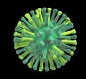 US California declares state of emergency over bird flu