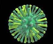 US California declares state of emergency over bird flu