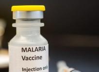 1st malaria vaccine shows promise against rising cases: Report