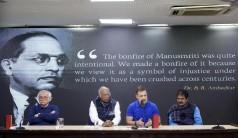 Our protest was peaceful, BJP MPs armed with sticks blocked us from entering Parliament: Rahul