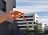 Office leasing market in India sees 14 pc growth in 2024, Bengaluru leads