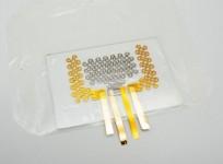 Wearable heart sound devices represent key shift in cardiac care