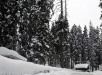 Gulmarg, Snowfall in J&K,snow-covered landscape,Jammu and Kashmir's Gulmarg