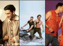 Alia Bhatt's Jigra, Kartik Aaryan's Chandu Champion to Varun Dhawan's Baby John: Flop films of 2024