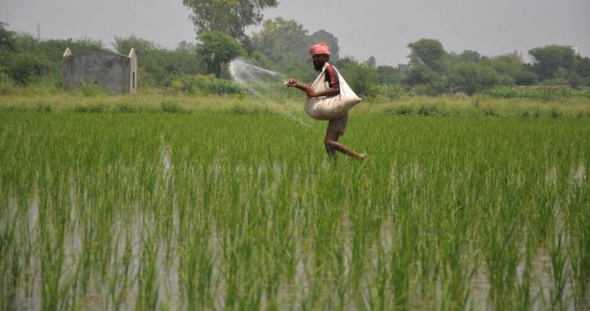 Cabinet okays extension of subsidy on DAP fertilizer for farmers Cabinet okays extension of subsidy on DAP fertilizer for farmers