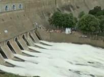 Samba paddy farmers in Thanjavur seek more water from Mettur dam