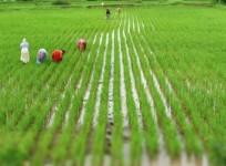 India well-positioned to see significant growth in agricultural export in 2025: Report