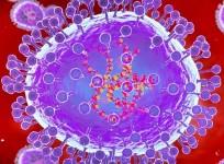 ICMR detects 2 cases of HMPV in Karnataka with no travel history: Centre