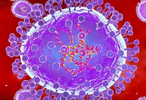 ICMR detects 2 cases of HMPV in Karnataka with no travel history: Centre ICMR detects 2 cases of HMPV in Karnataka with no travel history: Centre