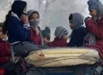 Schools in Bihar's Araria shut till January 12 due to cold wave
