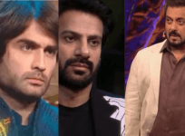 Vivian Dsena, Karanveer Mehra, Salman Khan