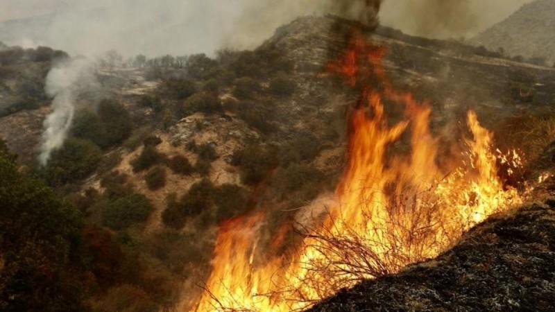 Los Angeles wildfires