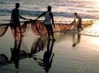 Eight TN fishermen arrested by Sri Lankan Navy, boats seized