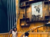 Mari Selvaraj's Flying Pig Artwork