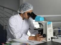 Dr. Chen Yang