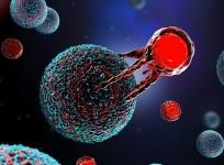 Immuneel launches affordable CAR T-cell therapy for non-Hodgkin's Lymphoma in India