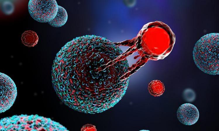 Immuneel launches affordable CAR T-cell therapy for non-Hodgkin's Lymphoma in India Immuneel launches affordable CAR T-cell therapy for non-Hodgkin's Lymphoma in India