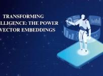 Vector embeddings