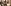 'Cringe, awful': Pregnant Amy Jackson goes bold; flaunts baby bump in nude bikini
