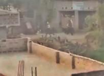 Sonu Singh, ex-MLA Anant Singh's aide arrested in Bihar firing case