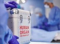 Telangana govt hands over Hyderabad kidney racket case to CID