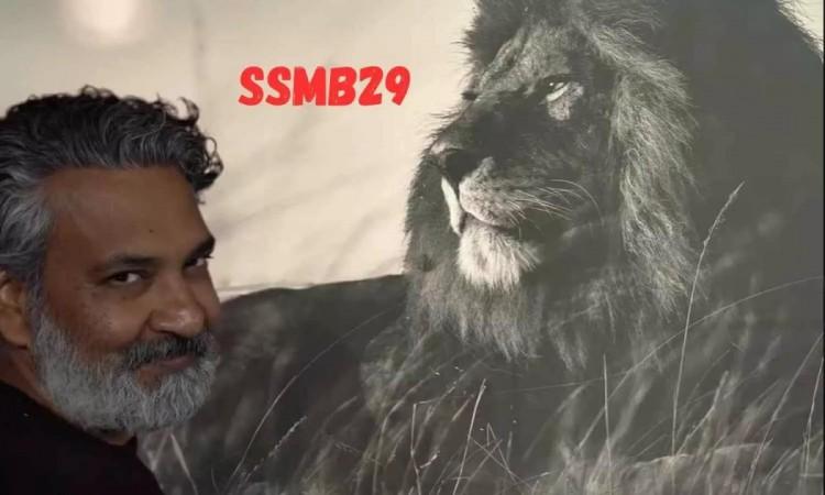 SSMB29