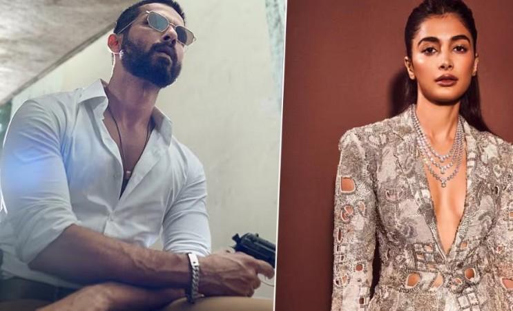 Shahid Kapoor, Pooja Hegde Shahid Kapoor, Pooja Hegde