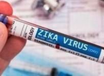 India reported 151 Zika virus disease in 2024, highest in Maharashtra: WHO