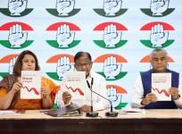 Chidambaram Releases 'Real State of the Economy 2025' Report