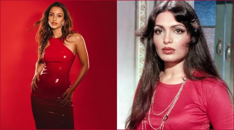 'Stop monetising on her life story': Triptii Dimri roped in for Parveen Babi Biopic, but fans aren't happy 'Stop monetising on her life story': Triptii Dimri roped in for Parveen Babi Biopic, but fans aren't happy