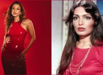 'Stop monetising on her life story': Triptii Dimri roped in for Parveen Babi Biopic, but fans aren't happy
