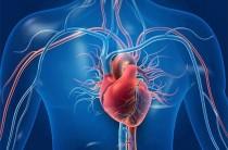 Late, onset, menopause may lower heart disease risk