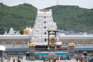 SIT arrests four in Tirumala laddu adulteration case SIT arrests four in Tirumala laddu adulteration case