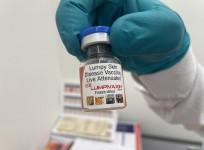CDSCO grants license to India's 1st vaccine for cattle, buffalo