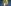 'Unfair': Anubhav Singh Bassi's Lucknow gigs cancelled over indecent language amid Ranveer -Samay's IGL Row [Reactions]