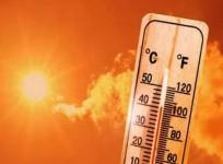 Cities at highest risk as climate change increases heatwave mortality: Study
