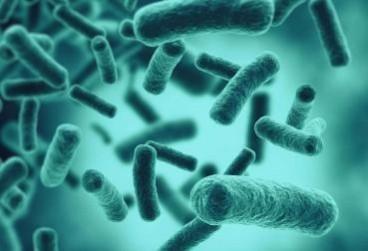 Swimming in lakes with still waters can cause bacterial pneumonia Swimming in lakes with still waters can cause bacterial pneumonia