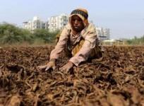 Centre announces relief package for Andhra, Karnataka tobacco farmers