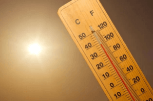 Weather Department predicts rise in temperature in many districts of TN for next few days Weather Department predicts rise in temperature in many districts of TN for next few days