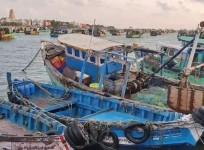 Rameswaram fishermen go on indefinite strike over Sri Lankan Navy arrests
