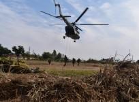Joint Exercise