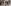 Mom-to-be Kiara Advani's pregnancy weight gain wow fans; Sidharth Malhotra blushes as they head for babymoon