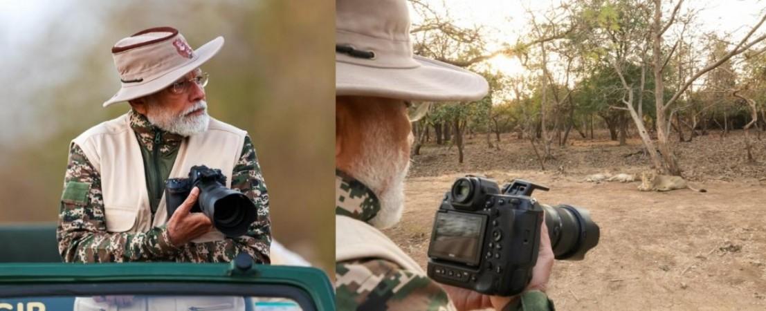 PM Modi goes on jungle safari at Gujarat's Gir wildlife sanctuary, clicks pictures of lions PM Modi goes on jungle safari at Gujarat's Gir wildlife sanctuary, clicks pictures of lions