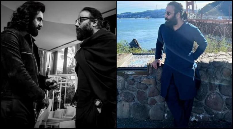 'Cracking IAS is easier than filmmaking': Sandeep Reddy Vanga takes a dig at UPSC Professor Vikas, irks netizens 'Cracking IAS is easier than filmmaking': Sandeep Reddy Vanga takes a dig at UPSC Professor Vikas, irks netizens