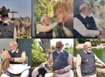 PM Modi visits Vantara - wildlife rescue, rehabilitation and conservation centre in Gujarat