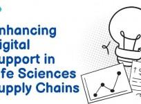 supply chain solutions